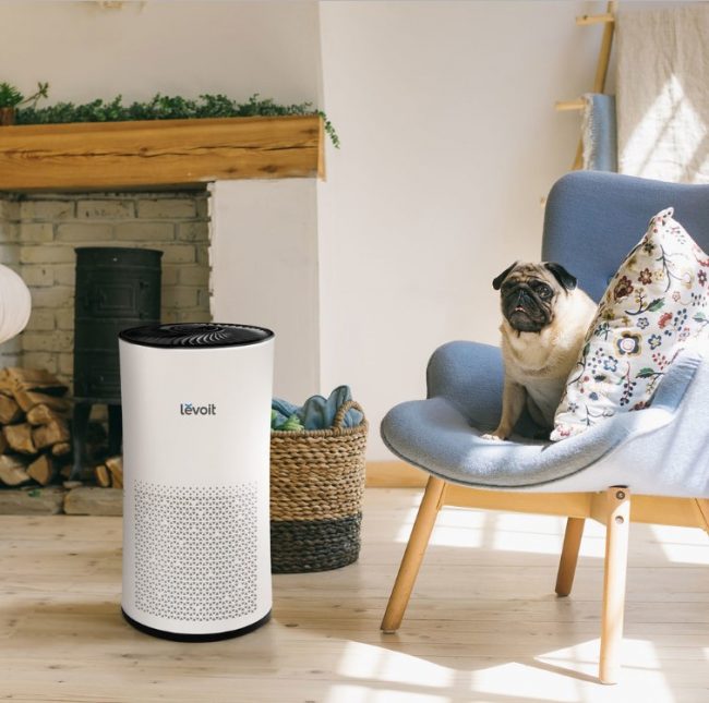 Levoit LVH133 Air Purifier Trusted Review In 2024