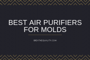 Top 10 Best Air Purifiers for Mold, Mildew and Virus in 2024