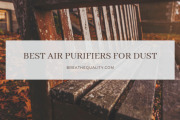 Top 10 Best Air Purifiers for Dust Removal and Dust Mites in 2024