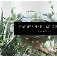 Holmes HAP116Z-U Air Purifier: Trusted Review & Specs