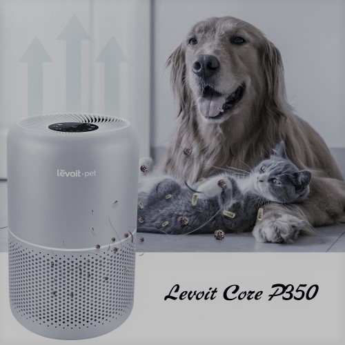 Levoit Core P350 Air Purifier Trusted Review In 2024
