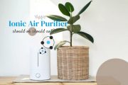 Should I use the ionizer on my air purifier?